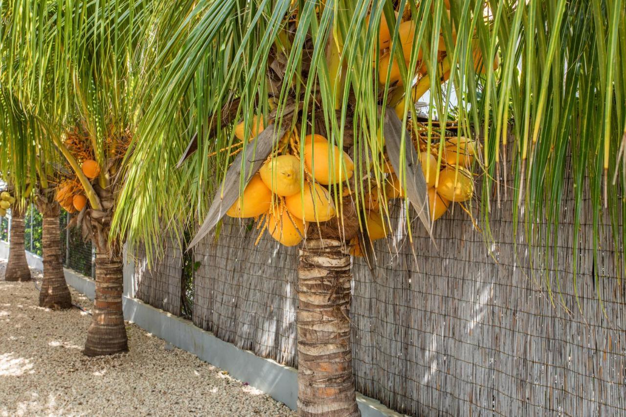 Paradise Apartments - Curacao Fontein 外观 照片